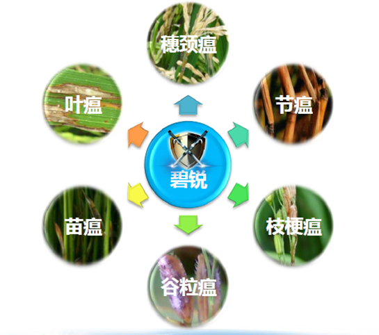 14273419834949225blL.png blob.png