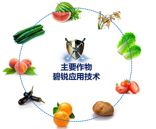 1427342003755211Nzwv.png blob.png