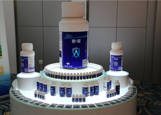 14273420897832535uLa.png blob.png